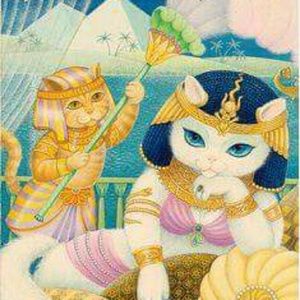 Meet your Posher, Hani